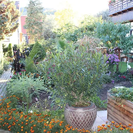 Ferienobjekte Familie Beck * Бланкенбург