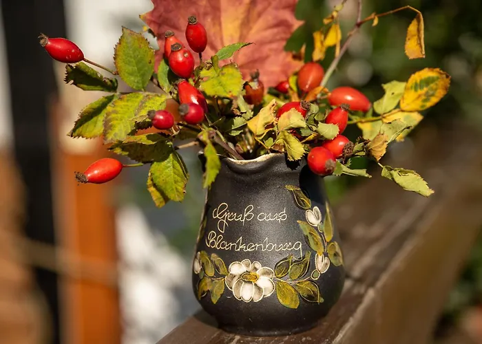 Ferienobjekte Familie Beck *